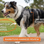 Rabbitgoo harness